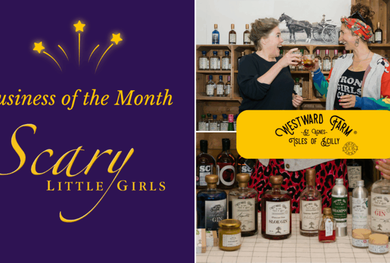 Grid with 3 sections. SLG logo is on the left with text that reads business of the month. On the top right is a picture of Becca and Grace. On the bottom right is a collection of drinks bottles